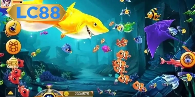Bảng hệ số cá đa dạng với hệ số thưởng cao 